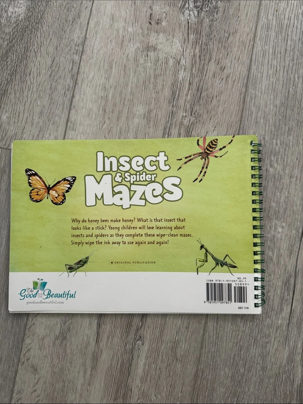 The Good and the Beautiful Insect & Spider Mazes Dry Activity Book